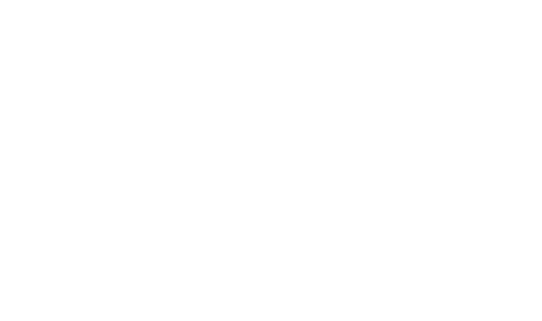 Damiani's Comfort Design